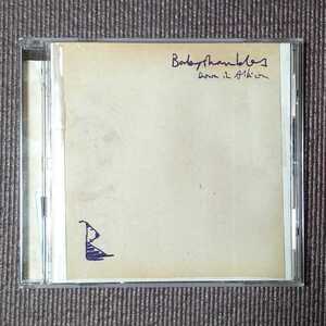 Babyshambles - Down In Albion 国内盤 帯なし ベイビーシャンブルズ 送料無料 即決 迅速発送