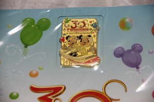 TDR THE HAPPINESS YEAR 30 RESORT LINE ピンバッチ 検索 30周年 東京ディズニーリゾート Disney ピンバッジ ピンズ PIN PINS グッズ