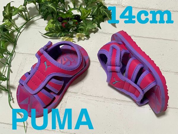 PUMA+14cm+サンダル+ピンク×パープル+シューズ+13.5cm+靴+紫+男女兼用+プール+夏祭り+ユニセックス+プーマ