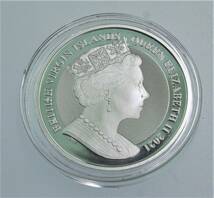 2021 BVI Pegasus Reverse Cameo BU 0.999 1 オンス　Silver Coin in direct カプセル_画像3