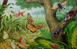 Art hand Auction [لوحة] رسم توضيحي واقعي للحشرات الأفريقية, عمل حقيقي, تلوين, ألوان مائية, طبيعة, رسم مناظر طبيعية