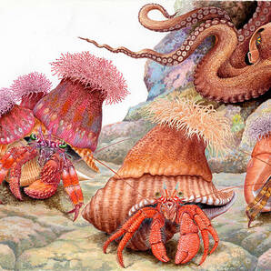 【絵画】「ヤドカリとイソギンチャク」 細密画 真作