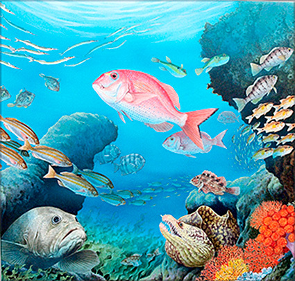 [Живопись] Реалистичная иллюстрация мелких морских существ, Аутентичный, Рисование, акварель, Картины животных