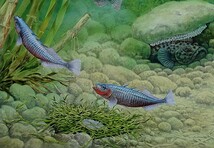 【絵画】「沼の生き物」　リアルイラストレーション　真作_画像4