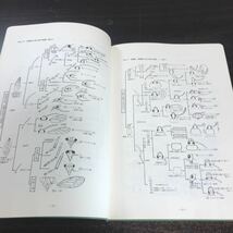 ca03▲希少本 北方昆虫生態図鑑 北海道生物教育会 昭和56年 形態図解 昆虫の科レベル 昆虫学_画像6