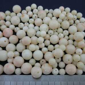 【TOP】珊瑚 サンゴ 69.5g 両穴ルース セット 羽織紐 ブレスレット ネックレス 根付 d346.
