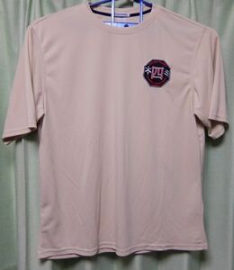 4th battalion 1st special forces group (airborne) 半袖Tシャツ　XL 中古