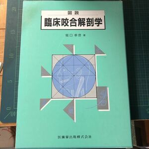 図説　臨床咬合解剖学