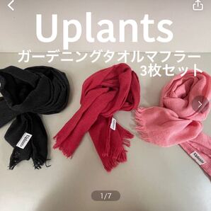 Uplantsタオルマフラー スタンダード 未使用品とおまけ2枚付き