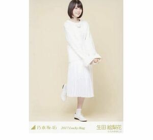 666【乃木坂46】生写真 公式　1枚　生田絵梨花　ヒキ　2017 福袋 Lucky Bag