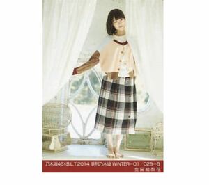 664【乃木坂46】生写真 公式　1枚　生田絵梨花　乃木坂46×B.L.T.2014 季刊乃木坂 WINTER-01 BLT 028-B