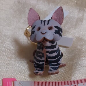 キーホルダー猫アメリカンショートヘアー