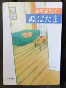 ぬばたま 藤堂志津子 新潮文庫