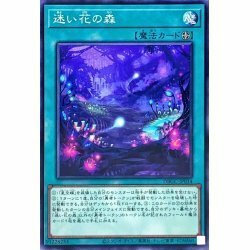 遊戯王　DBGC-JP034　迷い花の森　1枚・ノーマル・未使用