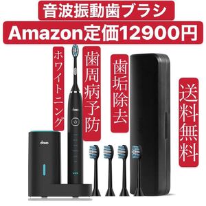 電動歯ブラシ 音波歯ブラシ 替えブラシ4本 6種類のモード 2分間オート