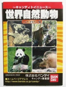 世界自然動物 アジア・オセアニア編 アオウミガメファミリー 未使用