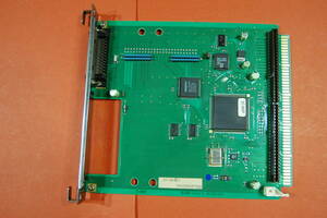 PC98 Cバス用 インターフェースボード IO DATA SC-983P SCSI-2 I/F ？ 動作未確認 ジャンク扱いにて　K-033 2876P0 