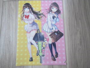 [J-02] Двойные координаты Санато Мориро A4 Clear File Anime Comic Bunsho Goods Beautiful Girl иллюстрация ☆
