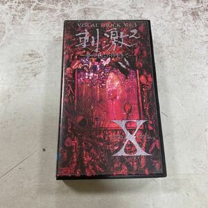 VHS ビデオ　倉庫保管品　経年劣化あり　エックス　VISUAL SHOCK Vol.3 刺激2 夢の中にだけ生きて　ステッカー付き　SRVM-285