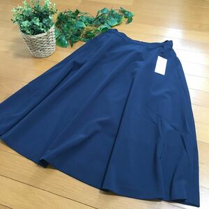[ new goods prompt decision ] E hyphen world gallery flair skirt F size navy ehyphen world gallery