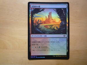 MTG　MH2　熔融林の橋/Slagwoods Bridge　日本語　Foil　1枚