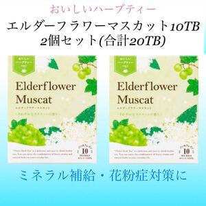 生活の木 おいしいハーブティー エルダーフラワーマスカット10袋入×2個セット