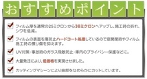 スーパースモーク13％　簡単ハードコートフィルム　ヴァンガード ACA38W・ACA33W・GSA33W　リヤセット　カット済みカーフィルム_画像4