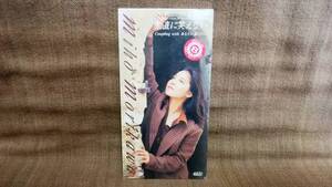 8 см CD Miho Morikawa