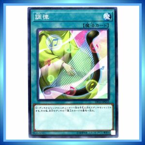 遊戯王カード 調律 DP23-JP033 N 魔 ★ 遊戯王 デュエリストパック 「レジェンドデュエリスト編6」 ／ 1点 BZ328