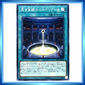 遊戯王カード 黒き覚醒のエルドリクシル DBSS-JP029 N 魔 ★ 遊戯王 デッキビルドパック 「シークレット・スレイヤーズ」 ／ 1点 BZ324