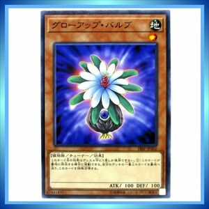 遊戯王カード グローアップ・バルブ 18SP-JP302 N 地 ★ 遊戯王 「SPECIAL PACK 20th ANNIVERSARY EDITION」／ 1点 BZ247