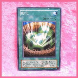 ★遊戯王 TB-18 孵化 魔法カード ノーマル コナミ ／ 1点