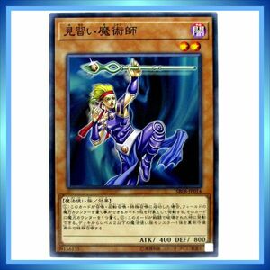 遊戯王カード 見習い魔術師 SR08-JP014 N 闇 ★ 遊戯王 ストラクチャーデッキR ロード・オブ・マジシャン ／1点 BZ427