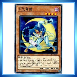 遊戯王カード 月光蒼猫 DP21-JP050 N 闇 ★ 遊戯王 デュエリスト・パック レジェンドデュエリスト編4 ／ 1点 BZ454