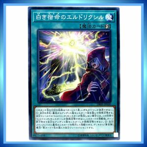 遊戯王カード 白き宿命のエルドリクシル DBSS-JP030 N 魔 ★ 遊戯王 デッキビルドパック シークレット・スレイヤーズ ／1点 BZ373