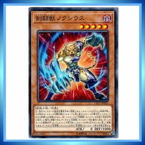 遊戯王カード 剣闘獣ノクシウス CP17-JP025 N 闇 ★ 遊戯王 コレクターズパック2017 ／1点 BZ494