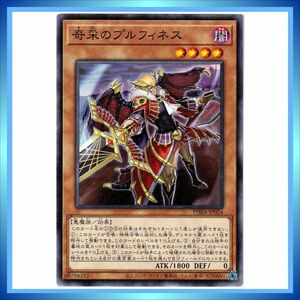 遊戯王カード 奇采のプルフィネス PHRA-JP024 N 闇 ★ 遊戯王 OCG デュエルモンスターズ PHANTOM RAGE ／1点 BZ493