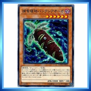 遊戯王カード 捕食植物バンクシアオーガ COTD-JP016 N 闇 ★ 遊戯王 VRAINS コード・オブ・ザ・デュエリスト ／1点 BZ504