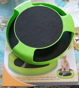 くるくる猫遊び