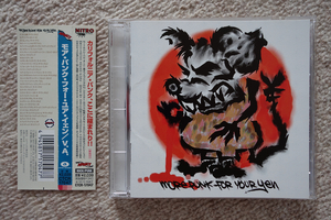 More Punk For Your Yen 国内盤 帯付き Nitro Records The Vandals Guttermouth The Offspring AFI