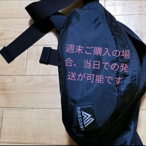 GREGORYテールランナーウエストパック