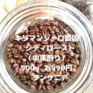 キリマンジャロ農園 タンザニア -Premium Grade- 500g