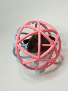 猫 おもちゃ ボール 音が鳴る 回転 噛むおもち 電動 鈴入りボール