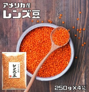 【宅配便送料無料】 　豆力　豆専門店のレンズ豆（赤：皮むき）　1ｋg