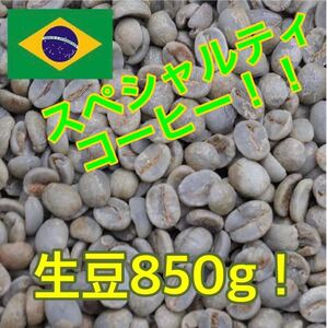 スペシャルティコーヒー!ブラジル セラード農園 生豆850g!