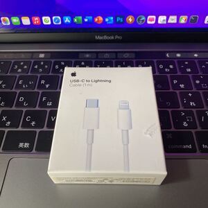 Apple USB-C Lightningケーブル