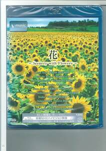 * Blue-ray flower Scenery with Flowers V-music Blu-ray exterior defect 