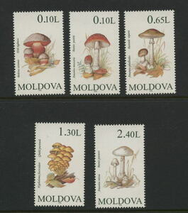 k) 1996モルドバ キノコ SC#190-194 未使用 NH MOLDOVA