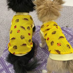 犬服ハンドメイド 国産たこ焼き柄メッシュ素材 小型犬用 【XSサイズ 】イエロー