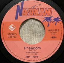 シングル ネバーランド 元レイジー 井上俊次 田中宏幸 デビュー盤 あした色のスニーカー Freedom 貴智明 阿部たくみ 和田眞人 ジャケに退色_画像6